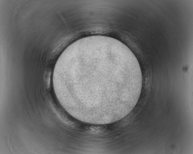 X0000114600070200911301432