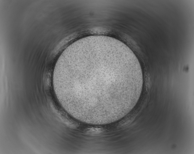 X0000114600071200911301432