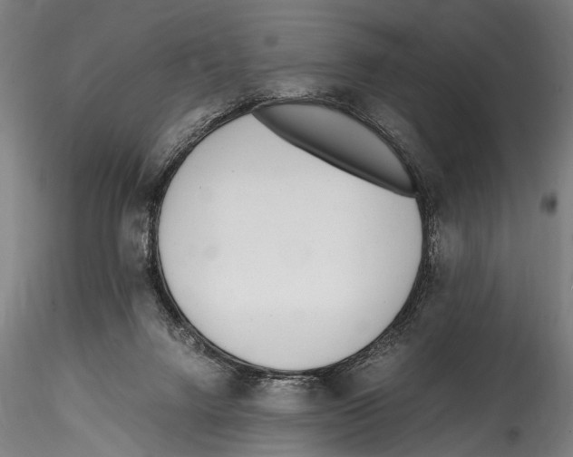 X0000114600072200911301432