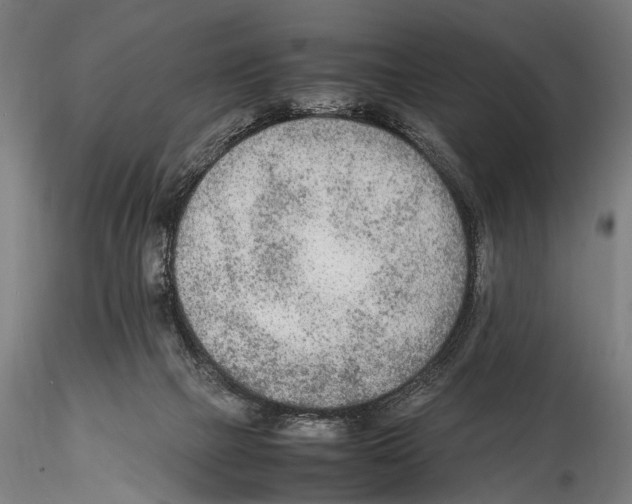 X0000114600073200911301432