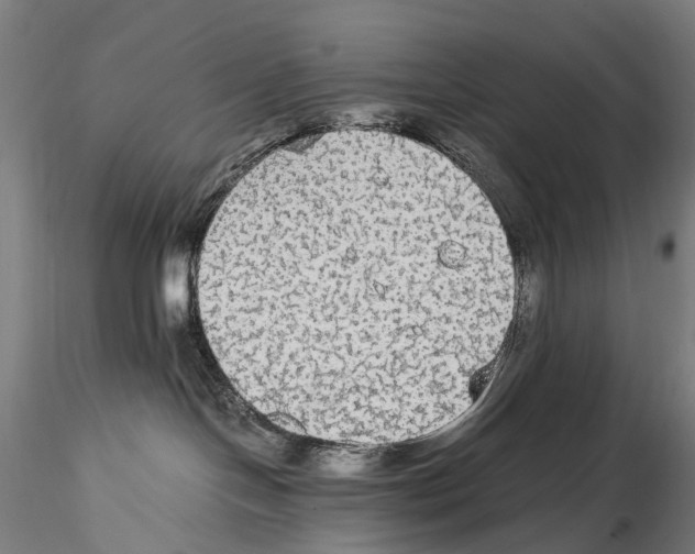 X0000114600094200911301433