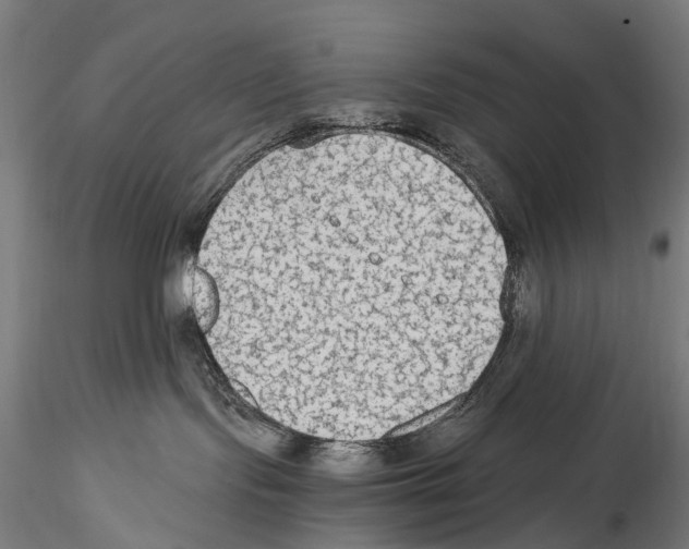 X0000114600095200911301433