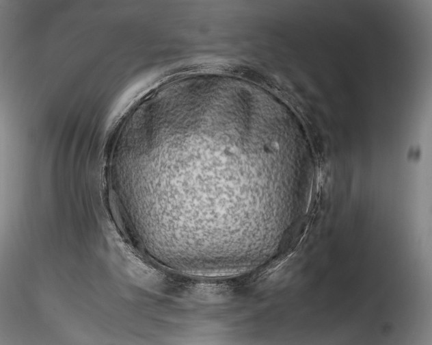 X0000114600101200911301432