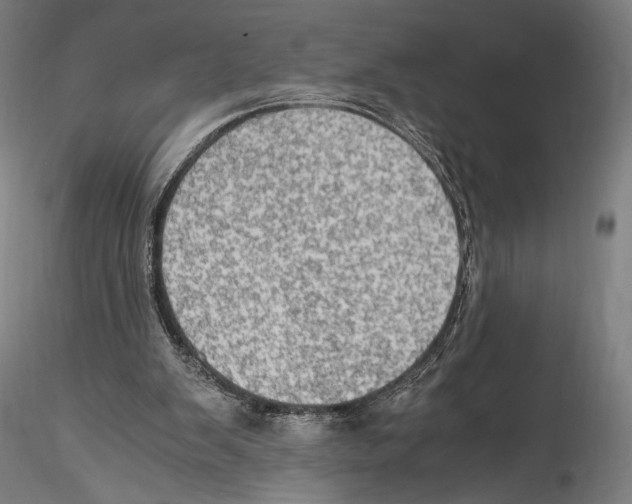 X0000114600103200911301432