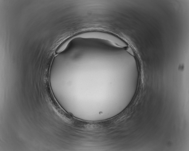 X0000114600105200911301432