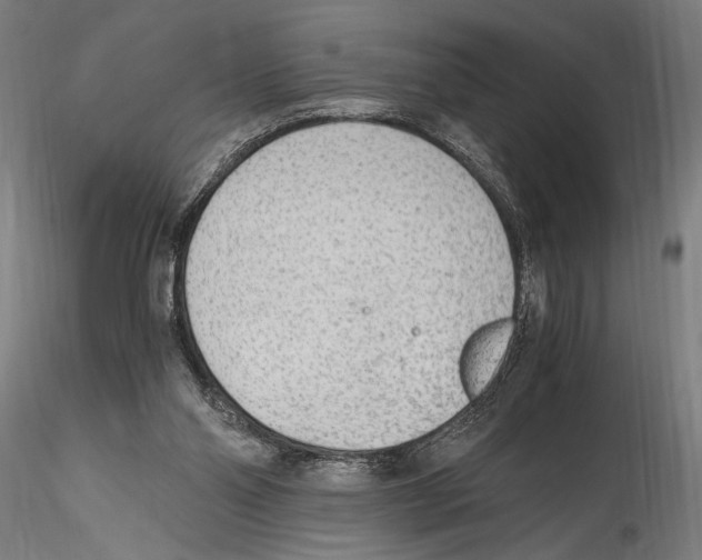 X0000114600110200911301432