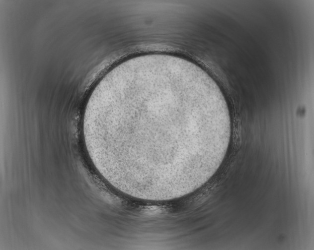 X0000114600111200911301432