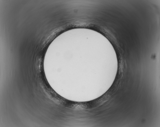 X0000114600115200911301432