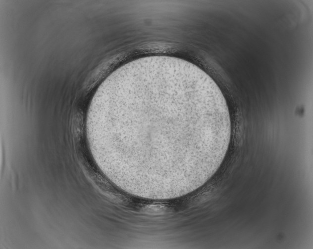 X0000114600119200911301432