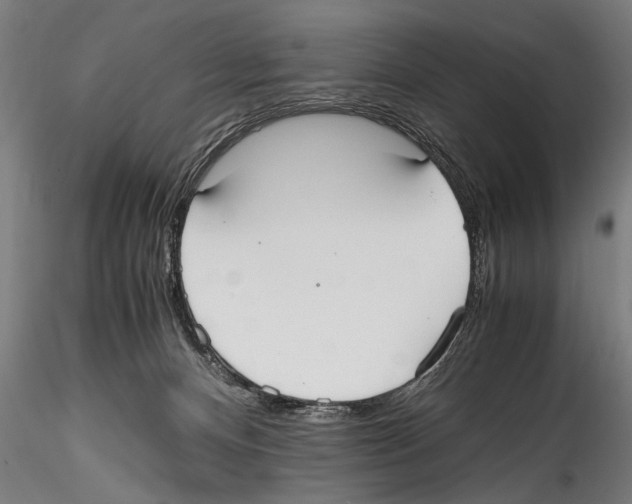 X0000114600128200911301431