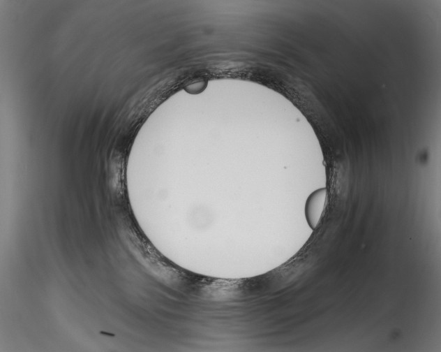 X0000114600138200911301431