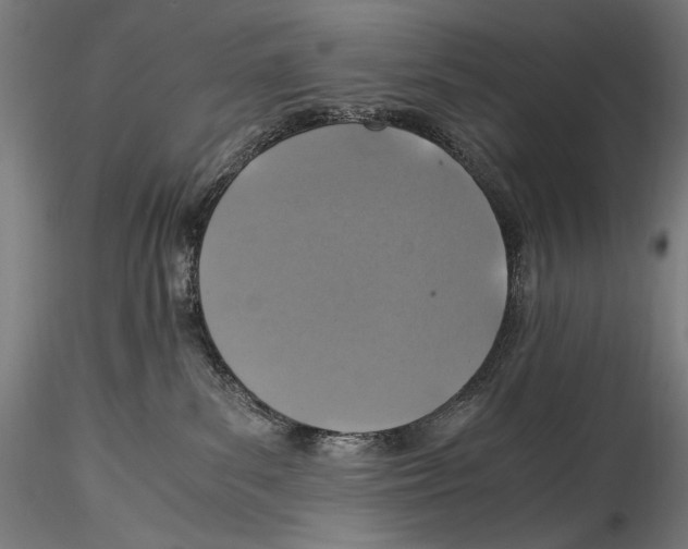 X0000114600139200911301431