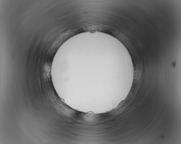 X0000114600142200911301431