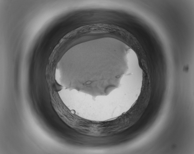 X0000114600143200911301431