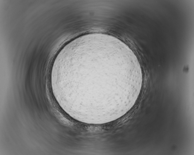 X0000114600145200911301430