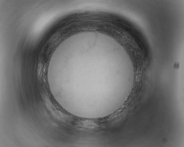 X0000114600146200911301430