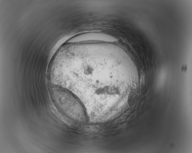 X0000114600147200911301430