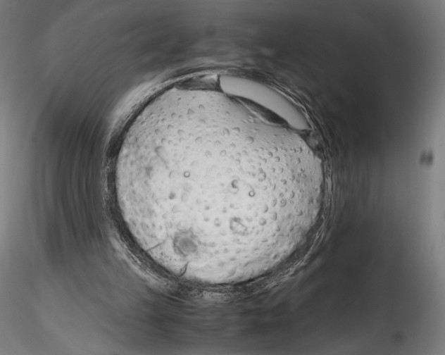 X0000114600149200911301430