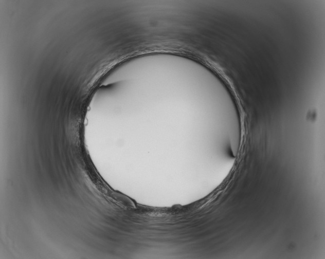 X0000114600154200911301431