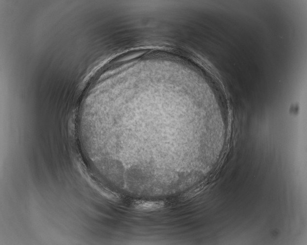 X0000114600155200911301431