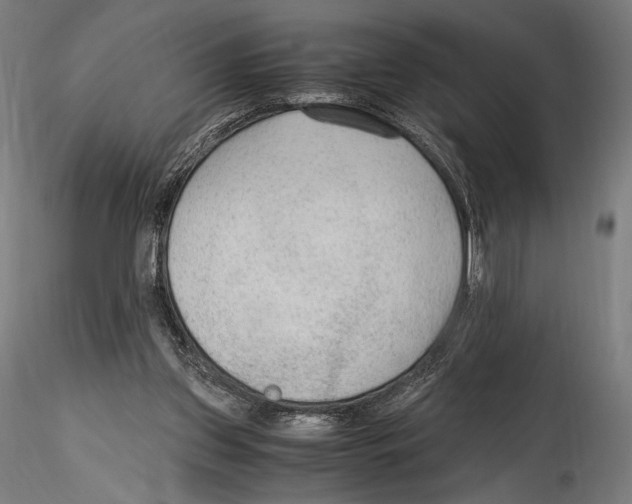 X0000114600157200911301431