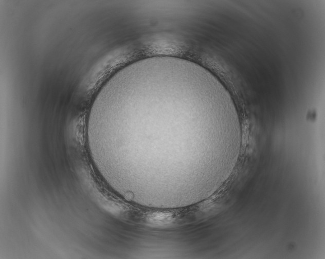 X0000114600162200911301431