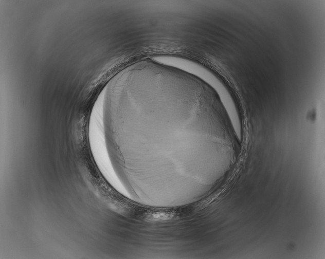 X0000114600163200911301431