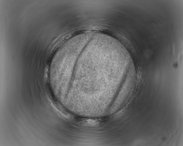 X0000114600166200911301431