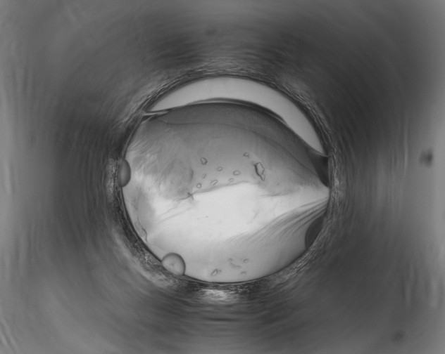 X0000114600167200911301431