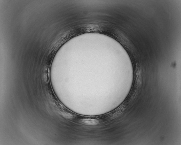 X0000114600169200911301431