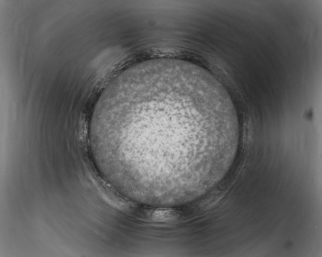 X0000114600173200911301431