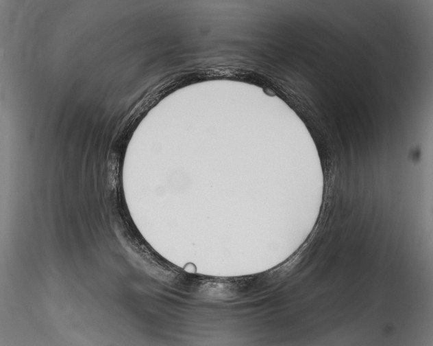 X0000114600174200911301431