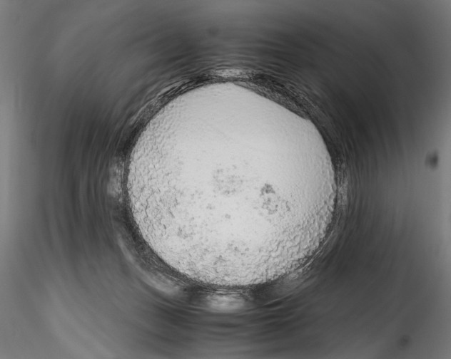 X0000114600175200911301431