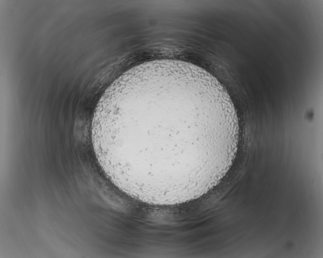 X0000114600177200911301431