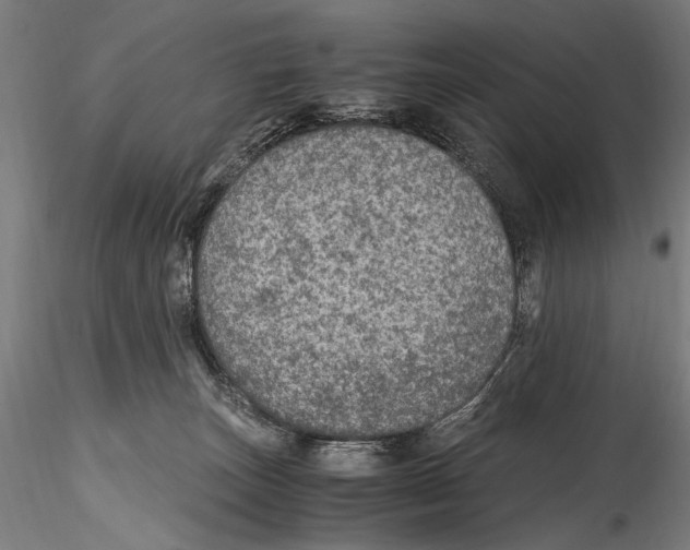 X0000114600179200911301431