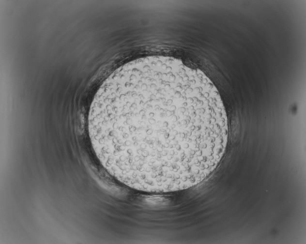 X0000114600183200911301431