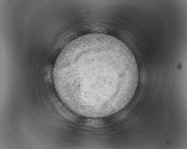 X0000114600185200911301431