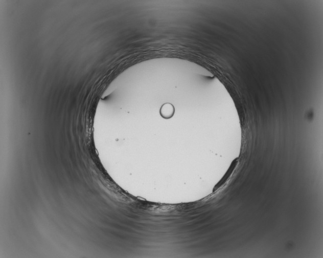 X0000114600186200911301431