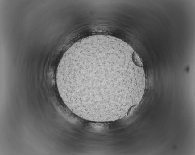 X0000114600187200911301431