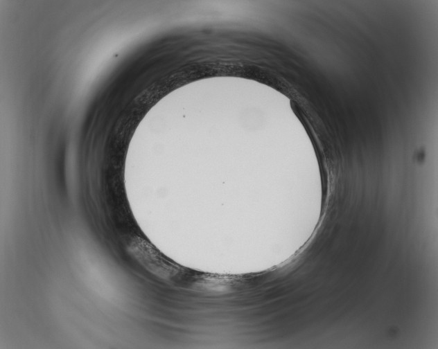 X0000114600190200911301431