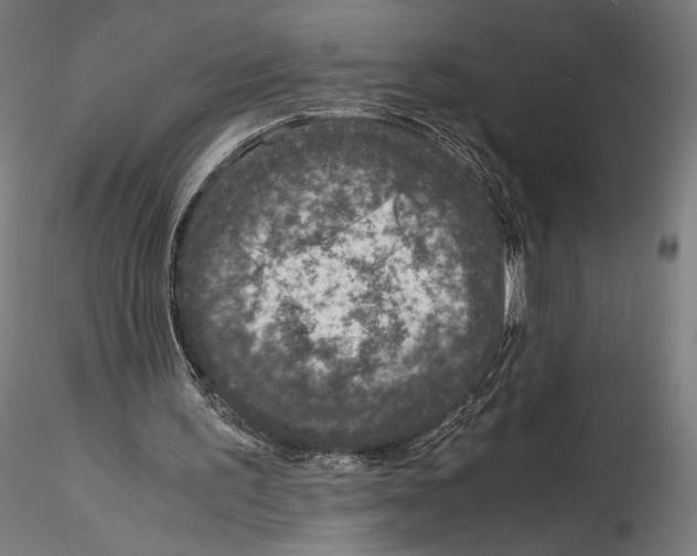 X0000114600195200911301430