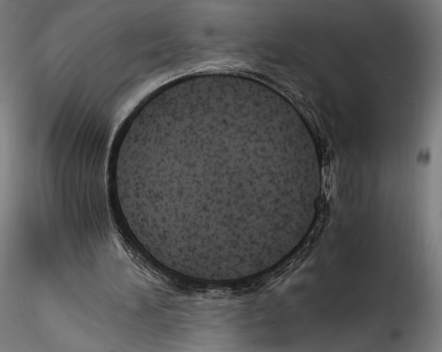 X0000114600196200911301430