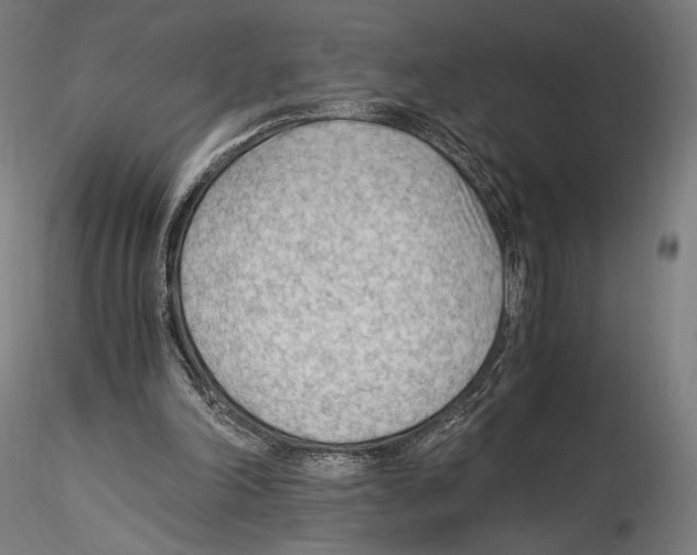 X0000114600198200911301430