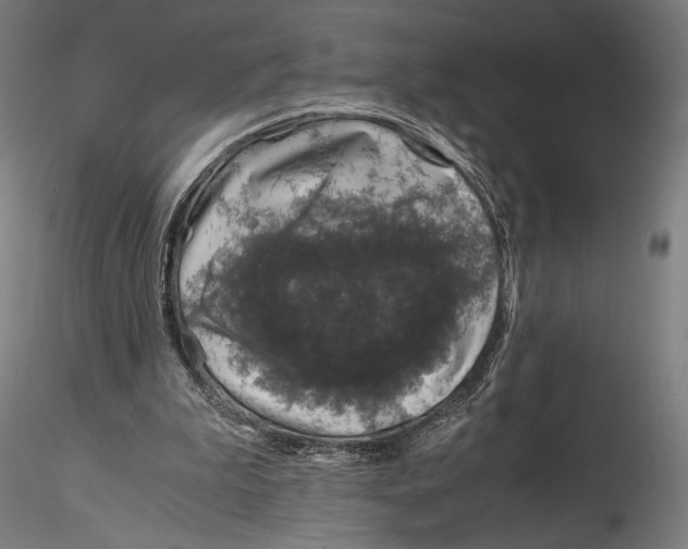 X0000114600199200911301430