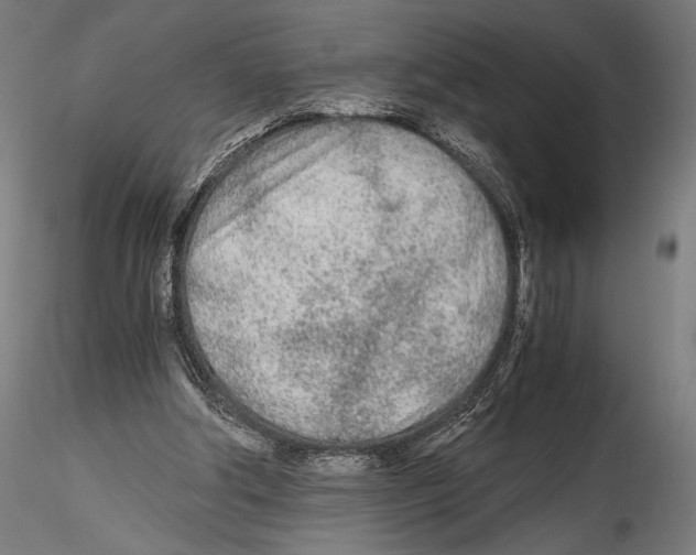 X0000114600202200911301430