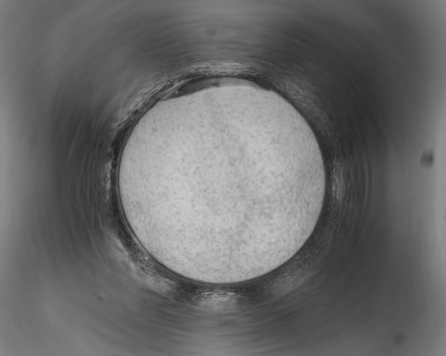 X0000114600206200911301430