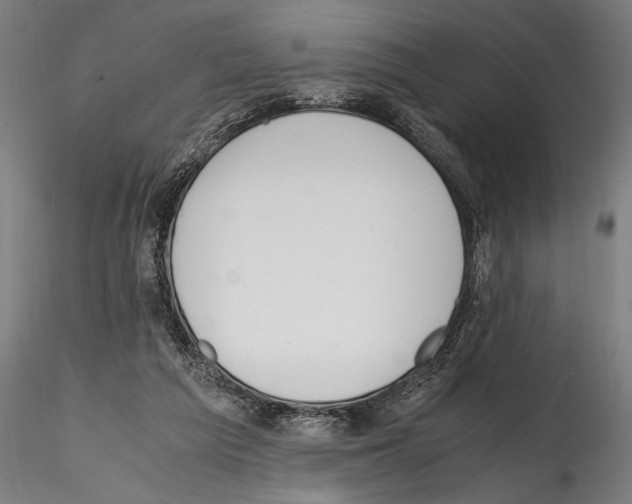 X0000114600209200911301430