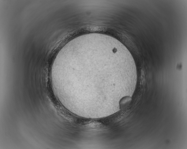 X0000114600210200911301430