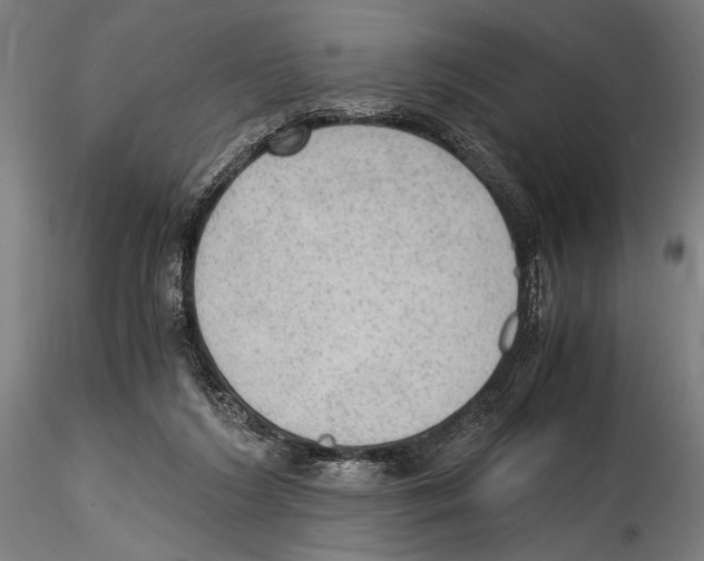 X0000114600212200911301430