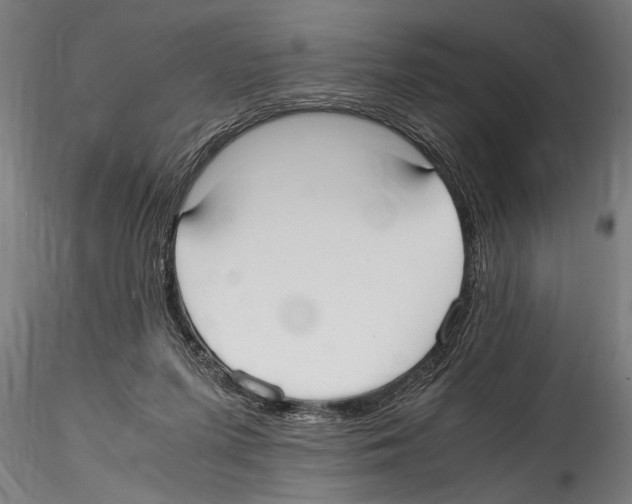 X0000114600215200911301430